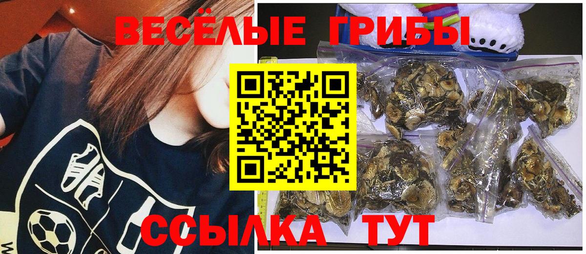 Галлюциногенные грибы мицелий Ростов-на-Дону