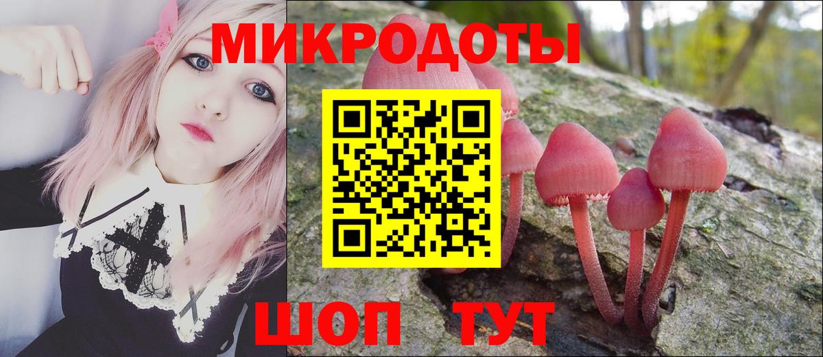 Псилоцибиновые грибы GOLDEN TEACHER  Галлюциногенные грибы Psilocybe  Ростов-на-Дону  Вход с VPN 